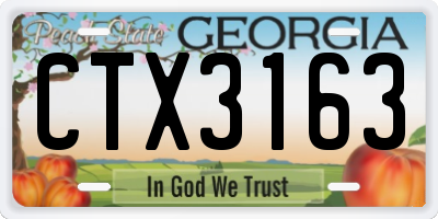 GA license plate CTX3163