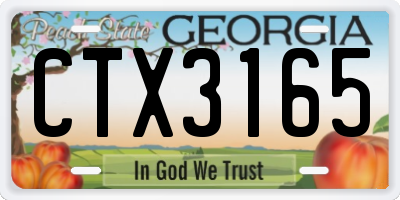 GA license plate CTX3165