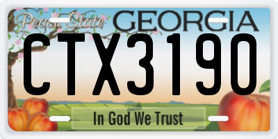 GA license plate CTX3190