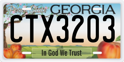 GA license plate CTX3203