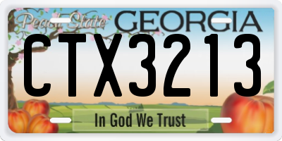 GA license plate CTX3213