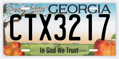 GA license plate CTX3217