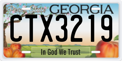 GA license plate CTX3219