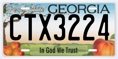 GA license plate CTX3224