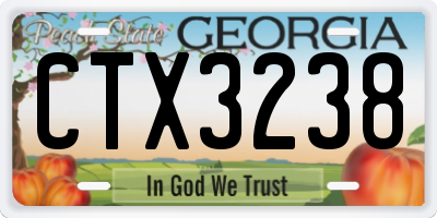 GA license plate CTX3238