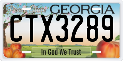 GA license plate CTX3289