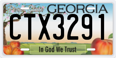 GA license plate CTX3291