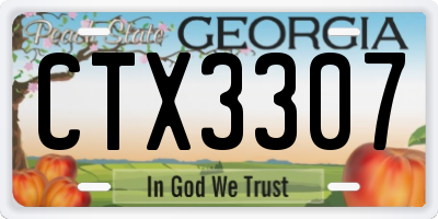 GA license plate CTX3307