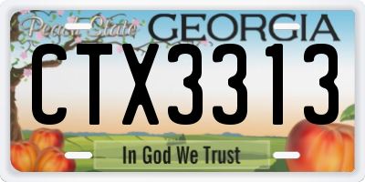 GA license plate CTX3313
