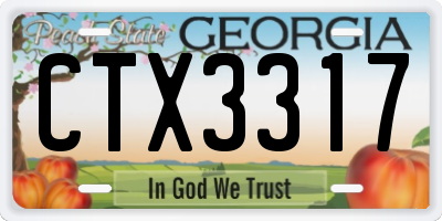 GA license plate CTX3317