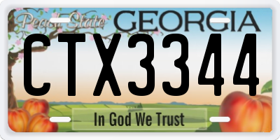 GA license plate CTX3344