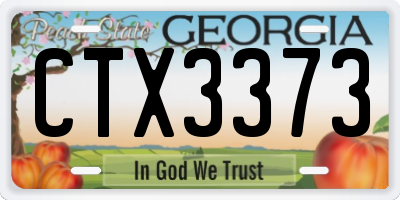 GA license plate CTX3373