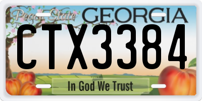 GA license plate CTX3384