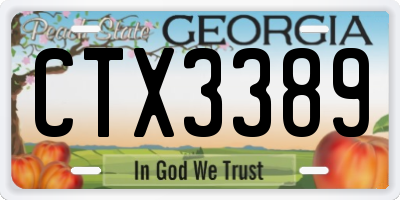 GA license plate CTX3389