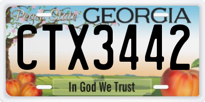 GA license plate CTX3442