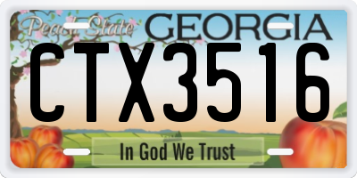 GA license plate CTX3516