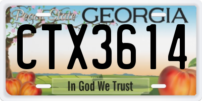 GA license plate CTX3614