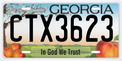 GA license plate CTX3623
