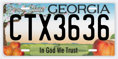 GA license plate CTX3636