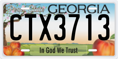 GA license plate CTX3713