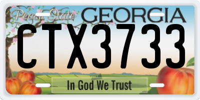 GA license plate CTX3733