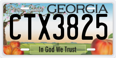 GA license plate CTX3825