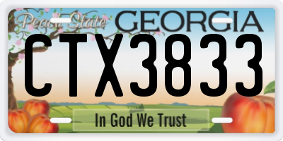 GA license plate CTX3833