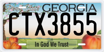 GA license plate CTX3855