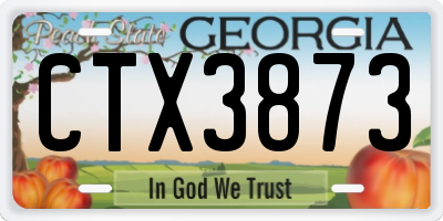 GA license plate CTX3873