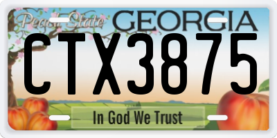 GA license plate CTX3875