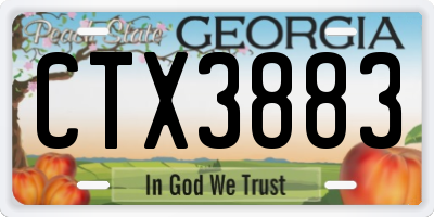 GA license plate CTX3883