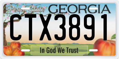 GA license plate CTX3891