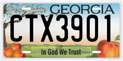 GA license plate CTX3901