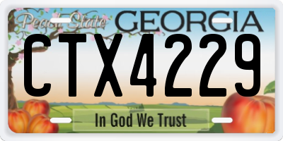 GA license plate CTX4229
