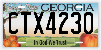 GA license plate CTX4230