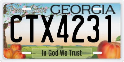 GA license plate CTX4231