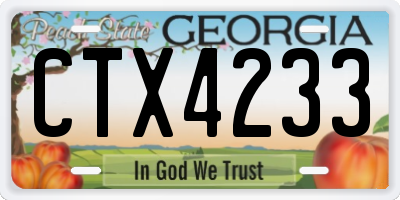 GA license plate CTX4233