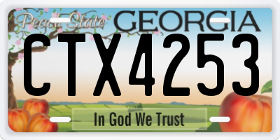 GA license plate CTX4253
