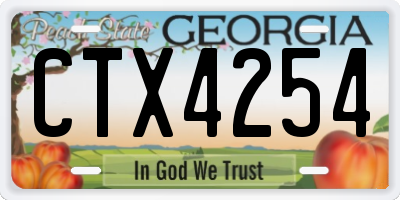 GA license plate CTX4254