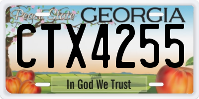 GA license plate CTX4255