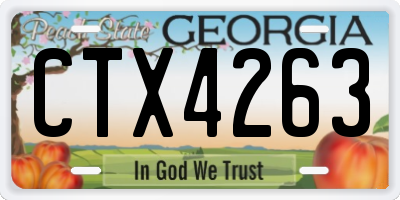 GA license plate CTX4263
