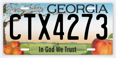 GA license plate CTX4273