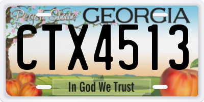 GA license plate CTX4513