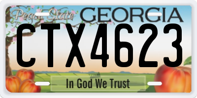 GA license plate CTX4623