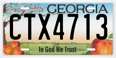GA license plate CTX4713