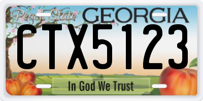 GA license plate CTX5123