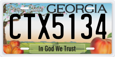 GA license plate CTX5134