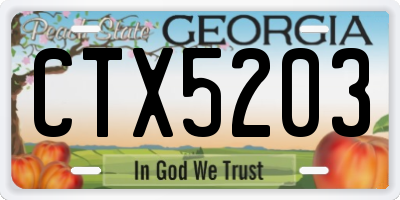 GA license plate CTX5203