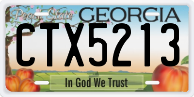 GA license plate CTX5213