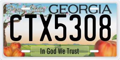 GA license plate CTX5308